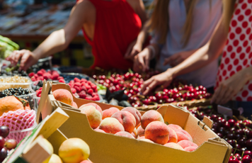 PRODUCE PRESCRIPTION PROGRAMS